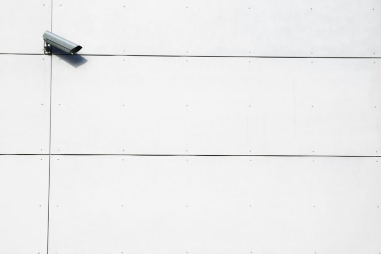 telecom privacy and oversight